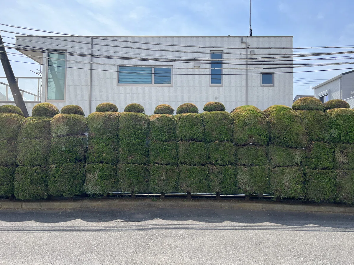 庭師さんがお手入れしてくださっています